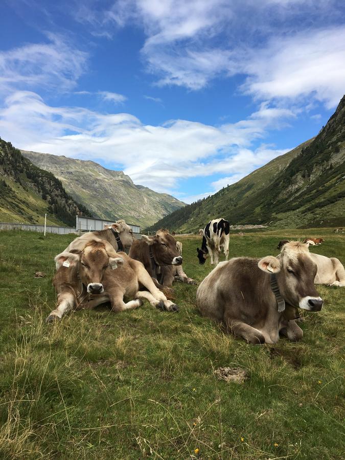 Ferienwohnungen Weiherbach - Hallenbad Berchtesgaden Exterior foto